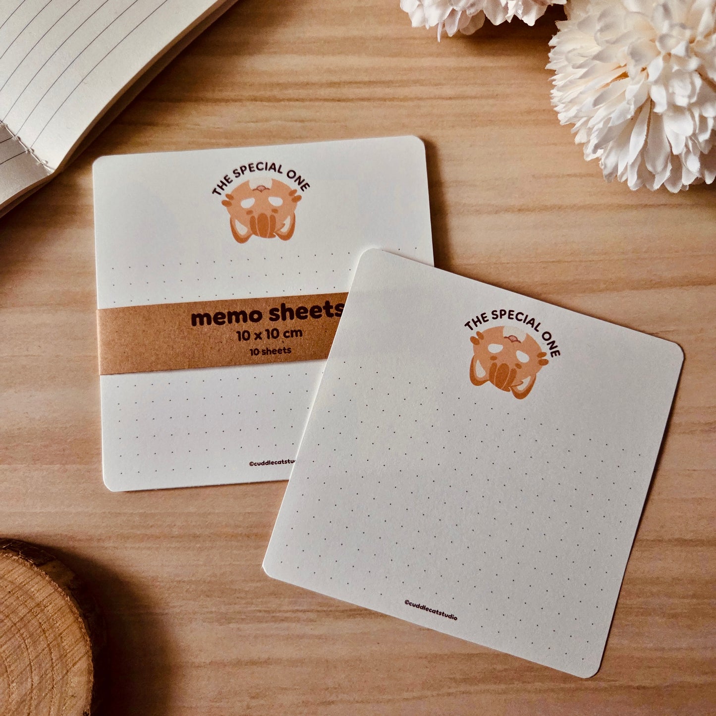 Memo Sheets - The Special One