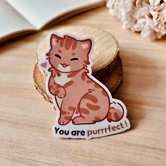 Kiss Cut Sticker - You are purrrfect
